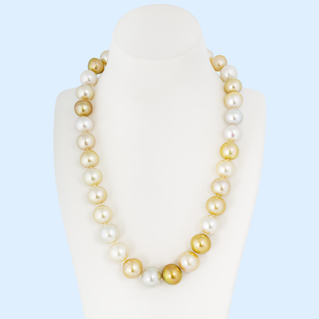 Gold - White South Sea Pearl Strand